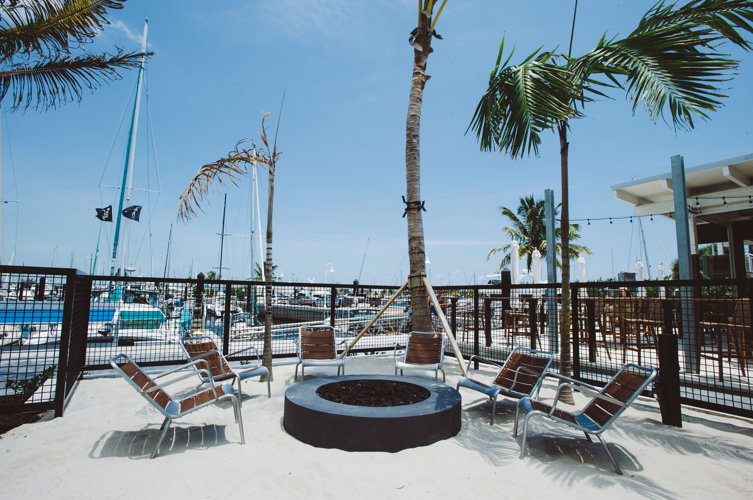 Fire pit surrounded by lounge chairs and palms.