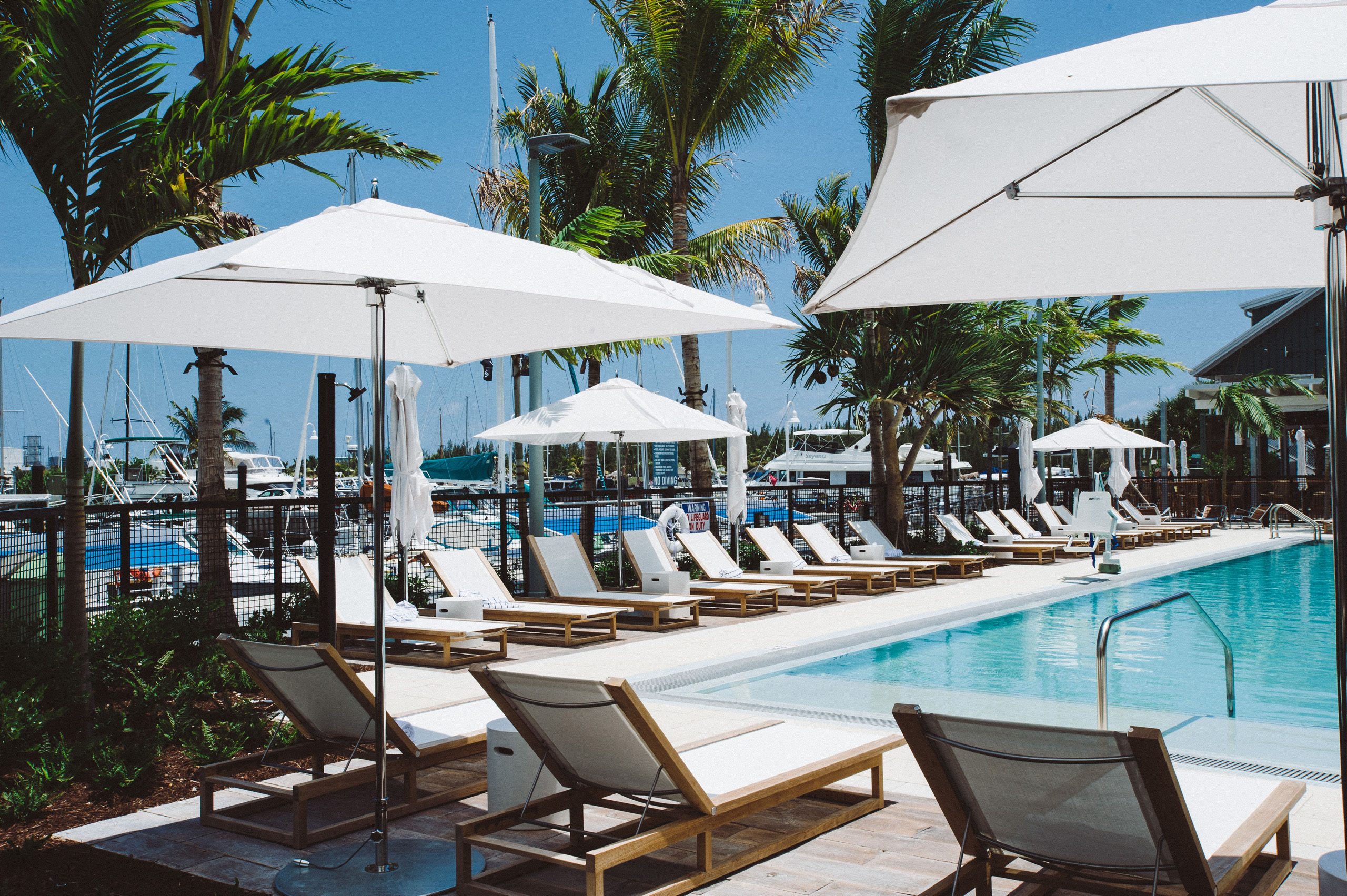 Pool area with lounge chairs and umbrellas.