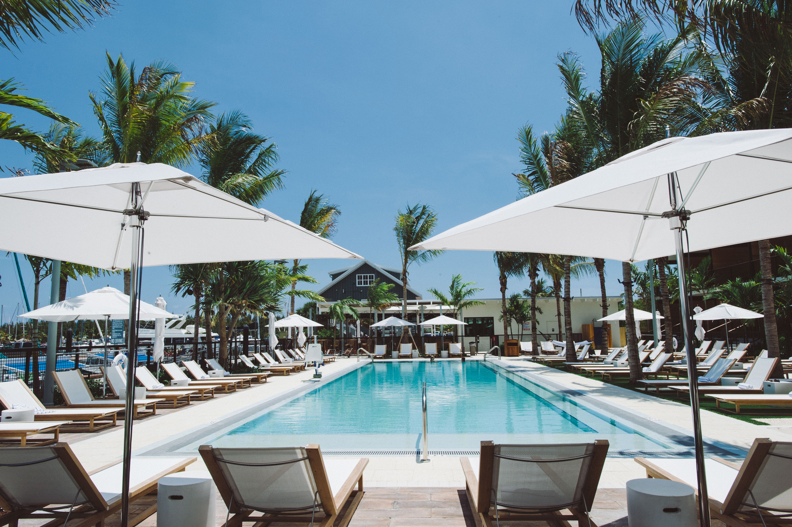Resort pool lined with palm trees and cabanas.