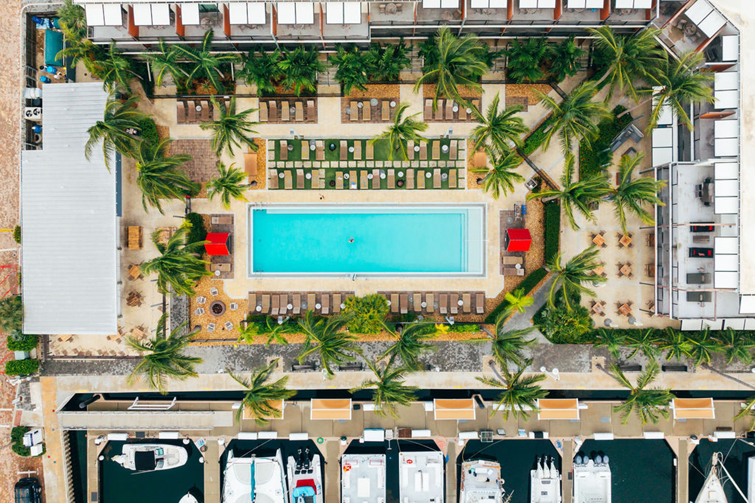 Overhead pool view with sun loungers and palm trees.