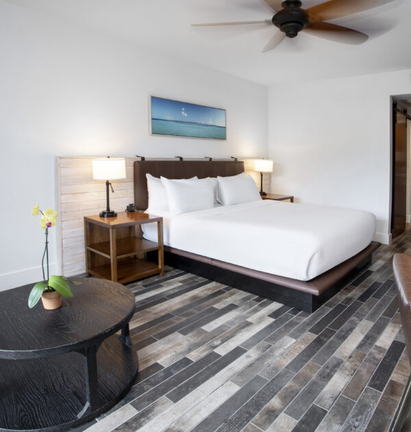 Spacious hotel room with king bed and modern design.