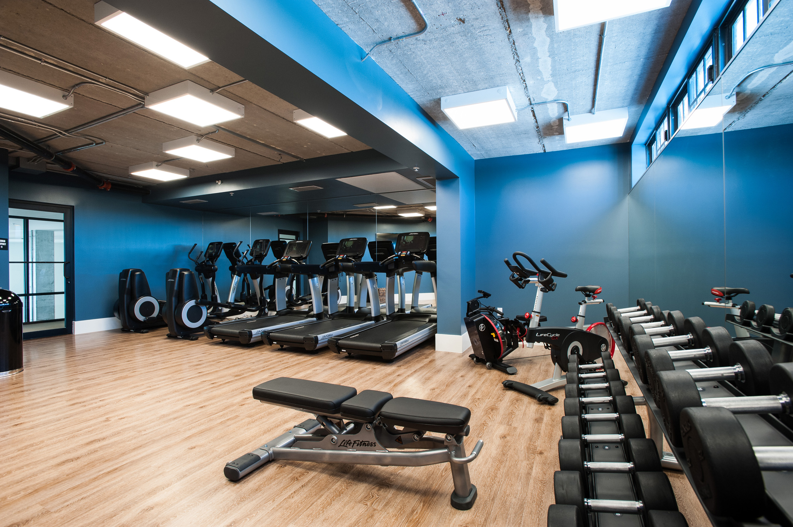Spacious gym with treadmills and weights.