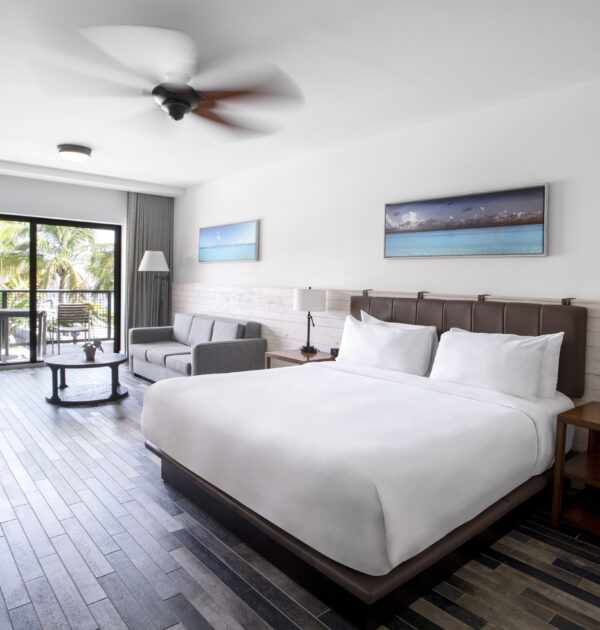 Spacious studio with king bed, sofa, desk, and balcony view.