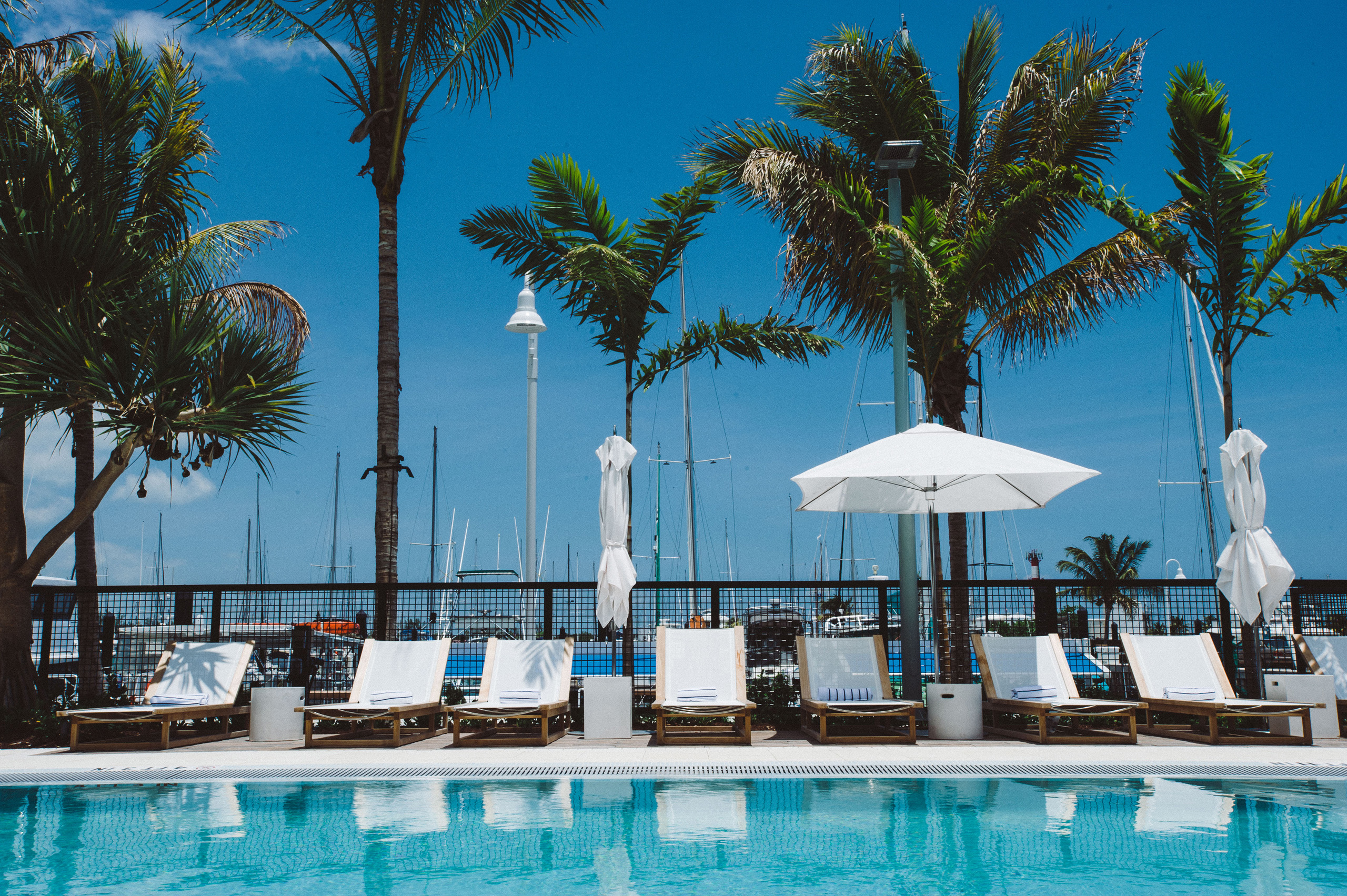 Poolside lounge chairs and umbrellas under palm trees.