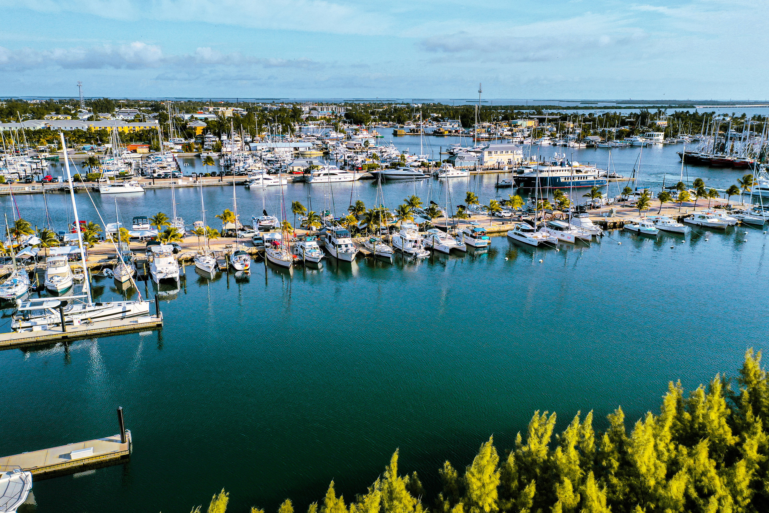 Aerial view of marina with yachts and palm-lined docks.