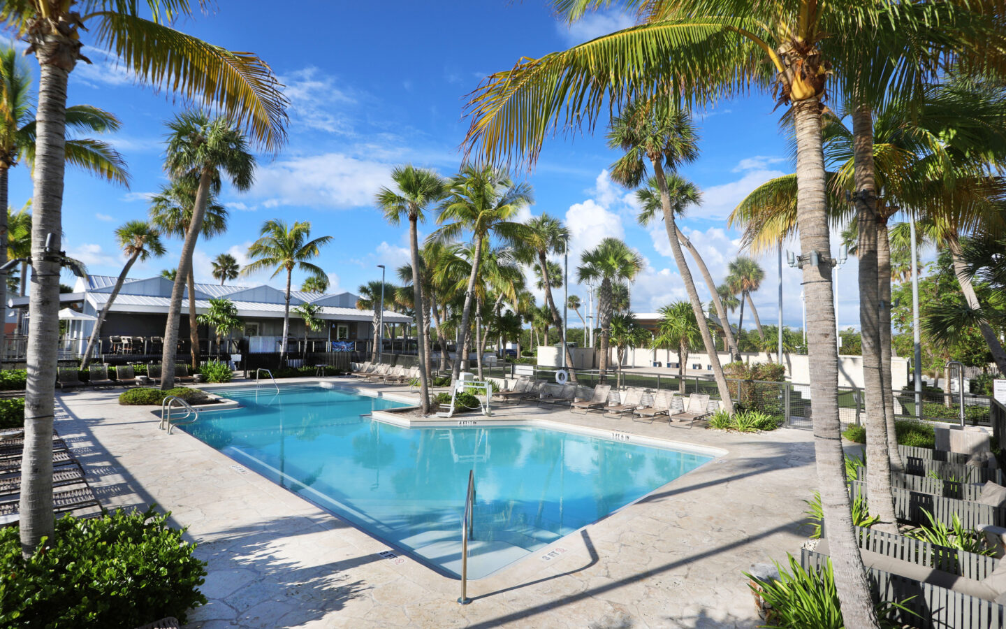 Palm-lined resort pool with lounge chairs and blue sky.