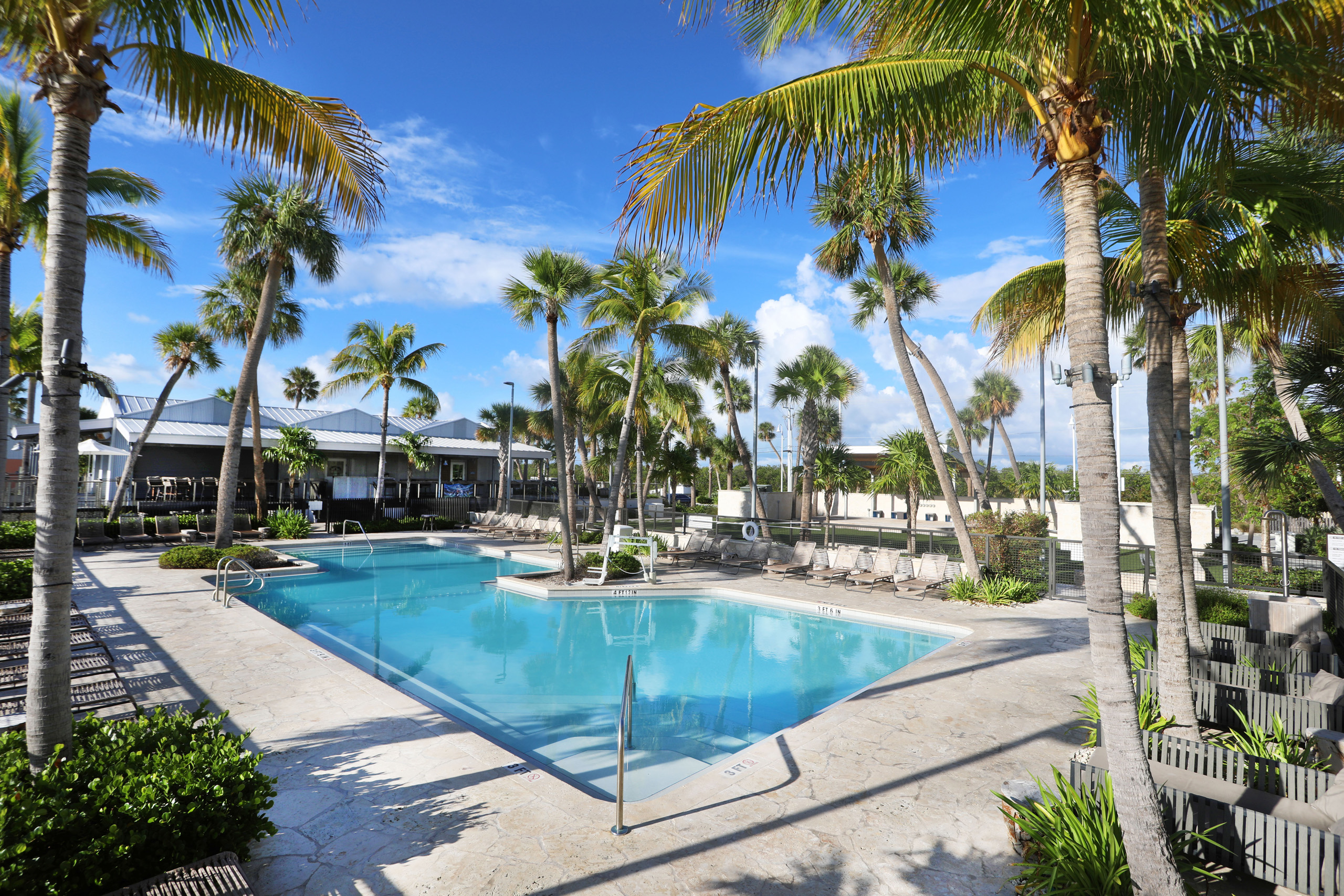 Palm-lined resort pool with lounge chairs and blue sky.