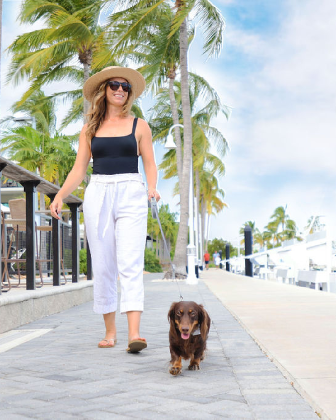 A dog being walked at The Perry Key West