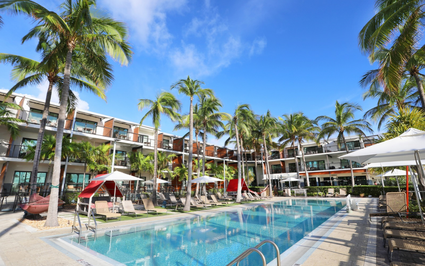 Palm-lined resort pool with lounge chairs and blue sky.
